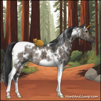 Horse Color:White Spotted Brown Dun Tobiano Brindle