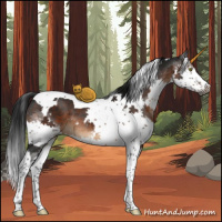 Horse Color:Gray White Spotted Brown Splash Tobiano