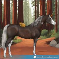 Horse Color:Silver Brown Sabino