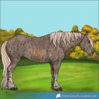 Horse Color:Chocolate Palomino Ice 