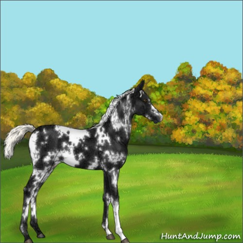 Horse Color:White Spotted Liver Chestnut Ice Mushroom 