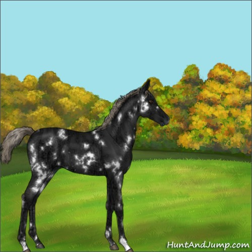 Horse Color:White Spotted Liver Chestnut Ice Mushroom 