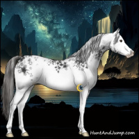 Horse Color:White Spotted Liver Chestnut Ice 