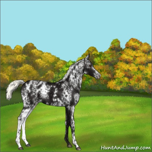 Horse Color:White Spotted Liver Chestnut Ice Mushroom 