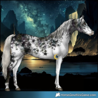 Horse Color:White Spotted Midnight Liver Chestnut Ice Mushroom 