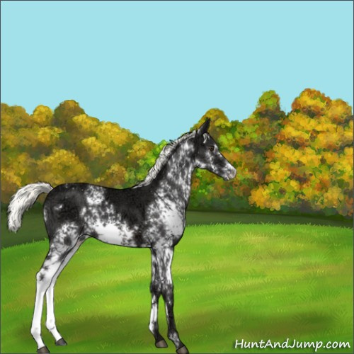 Horse Color:White Spotted Liver Chestnut Ice Mushroom 