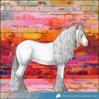 Horse Color:Buckskin Dun Splash Tobiano Frame Appaloosa 