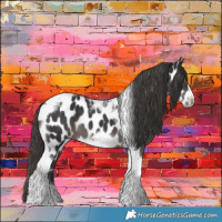 Horse Color:Smoky Black Tobiano Frame Near Leopard 