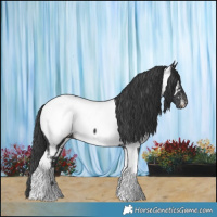 Horse Color:Black Tobiano Near Fewspot 