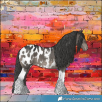 Horse Color:Grullo Tobiano Blanket 