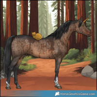 Horse Color:Brown Dun Tobiano Rabicano Brindle 