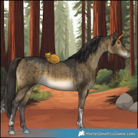 Horse Color:Buckskin Dun Tobiano Brindle