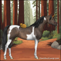 Horse Color:Brown Dun Tobiano 