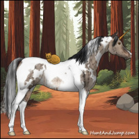 Horse Color:White Spotted Brown Dun Tobiano Rabicano Brindle 