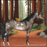 Horse Color:White Spotted Brown Dun Rabicano Brindle 
