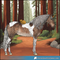 Horse Color:Silver Brown Dun Tobiano Brindle 
