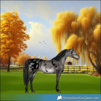 Horse Color:Gray Void Platinum White Spotted Brown Dun Appaloosa 