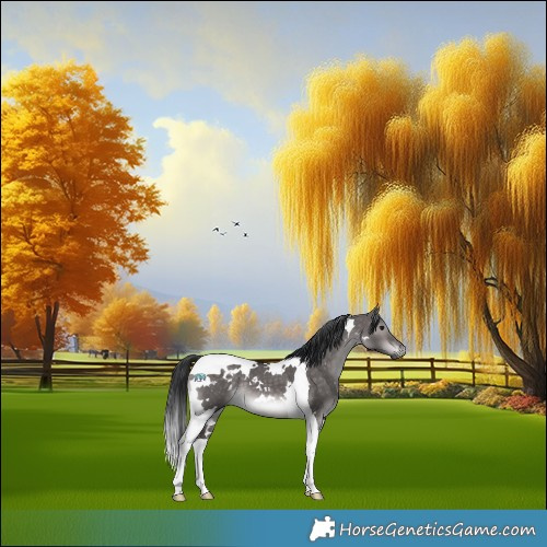Horse Color:Platinum White Spotted Brown Dun Tobiano 