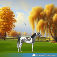Horse Color:Platinum White Spotted Brown Dun Tobiano