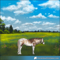 Horse Color:White Spotted Liver Red Onyx Tobiano 