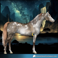 Horse Color:Gray White Spotted Liver Red Dun Ice Rabicano 