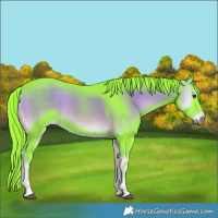 Horse Color:Watercolor Liver Red Onyx 