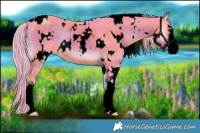 Horse Color:Void Watercolor White Spotted Chocolate Palomino Onyx