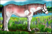 Horse Color:Plaid Liver Red Onyx Splash
