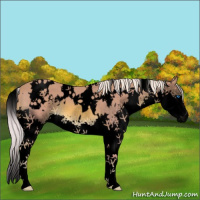 Horse Color:Void Watercolor White Spotted Chocolate Palomino Splash 