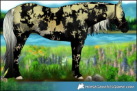 Horse Color:Void Watercolor White Spotted Chocolate Palomino Splash 