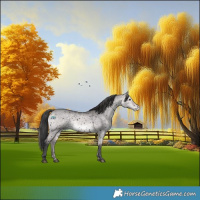 Horse Color:Void Platinum Bay Dun Sabino Snowflake Varnish
