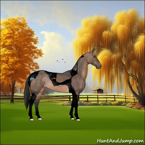 Horse Color:Void Brown Dun Tobiano