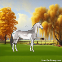 Horse Color:Platinum Buckskin Tobiano