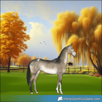 Horse Color:Gray Buckskin Dun Snowflake VarnishRabicano 