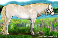 Horse Color:Watercolor White Spotted Chocolate Palomino Roan Onyx Brindle 
