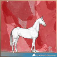 Horse Color:Brown Dun Tobiano Fewspot 