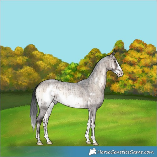 Horse Color:Brown Roan Onyx Frame Brindle 