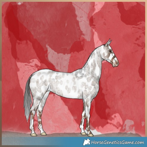 Horse Color:Liver Red Dun Roan Appaloosa Brindle