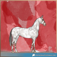 Horse Color:Liver Red Dun Roan Appaloosa Brindle 
