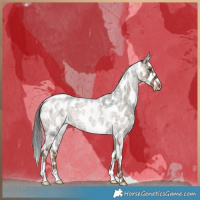 Horse Color:Liver Red Dun Roan Near Leopard Brindle 