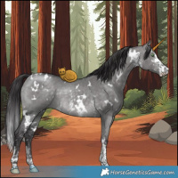 Horse Color:Platinum White Spotted Buckskin Dun Sabino