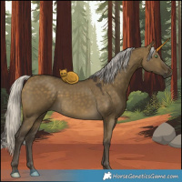 Horse Color:Silver Buckskin Dun