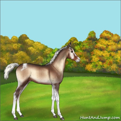 Horse Color:Liver Red Onyx Mushroom Sabino Tobiano Brindle 