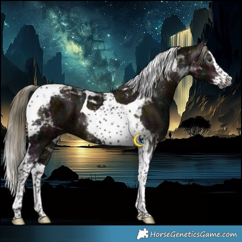 Horse Color:Gray Midnight Liver Red Dun Ice Mushroom Splash Tobiano Brindle