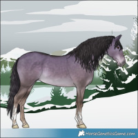 Horse Color:Platinum Liver Red Dun Tobiano Rabicano 