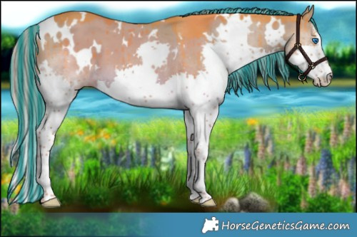 Horse Color:Painted Watercolor White Spotted Liver Red Dun Splash Brindle 