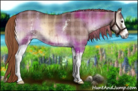 Horse Color:Plaid  White Spotted Liver Red Dun Onyx Brindle 