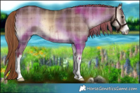 Horse Color:Plaid  White Spotted Liver Red Dun Onyx Brindle 