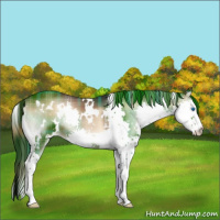 Horse Color:Plaid  White Spotted Liver Red Onyx Splash 