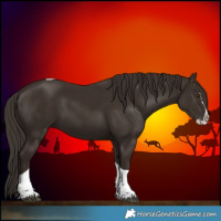 Horse Color:Liver Chestnut Splash Tobiano 